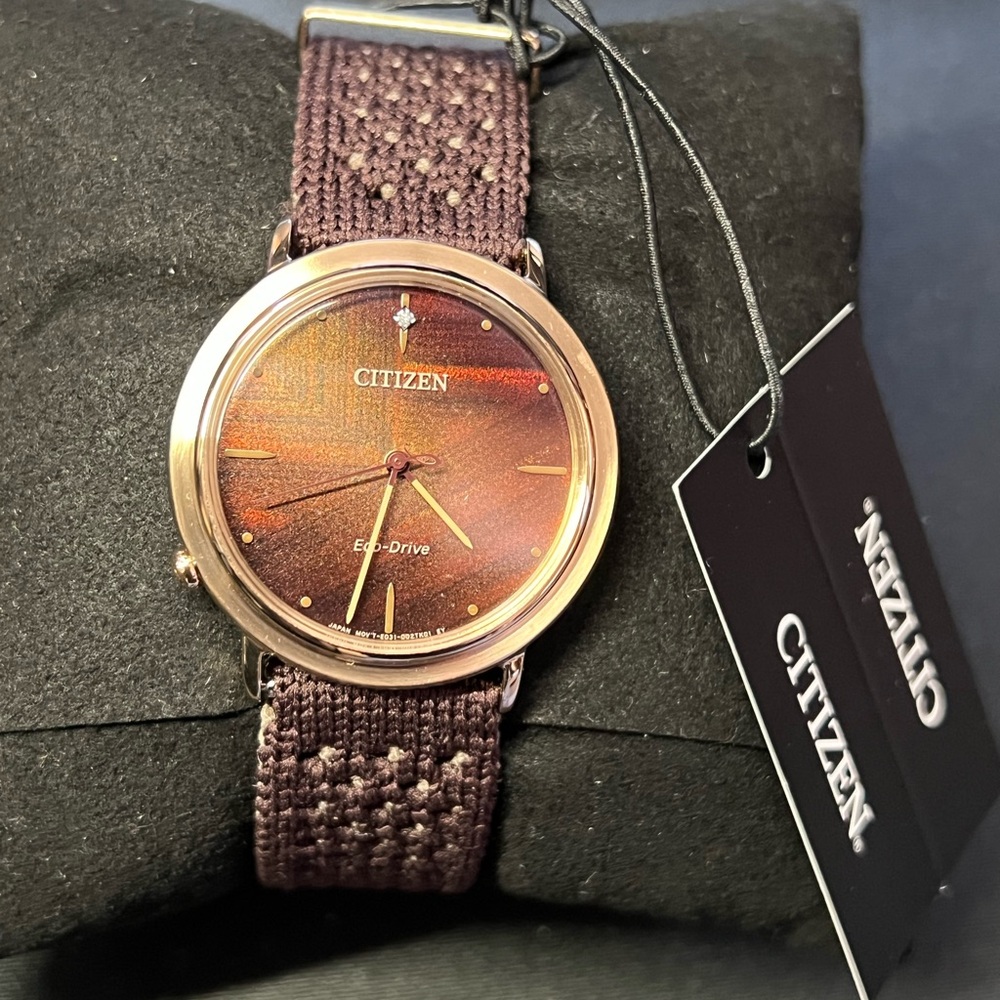Citizen Eco-Drive Watch (Ecosphere)
